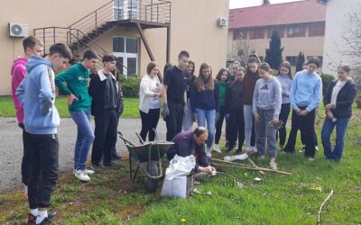 Jabuke za budućnost