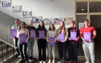 Uspjeh na županijskoj razini Natjecanja iz matematike